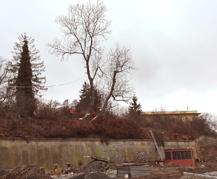 Kcen strom ped rekonstrukc hradeb